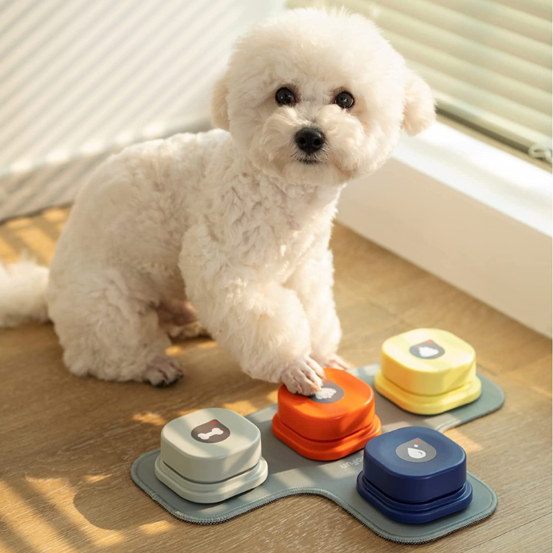 PawsLingo™ - Dog Communication Training Tool Set